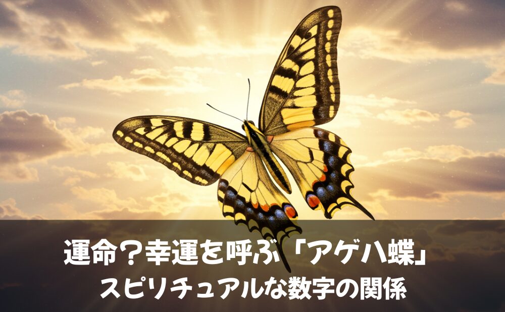 運命？幸運を呼ぶ「アゲハ蝶」スピリチュアルな数字の関係