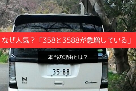 なぜ人気？「358と3588が急増している」本当の理由