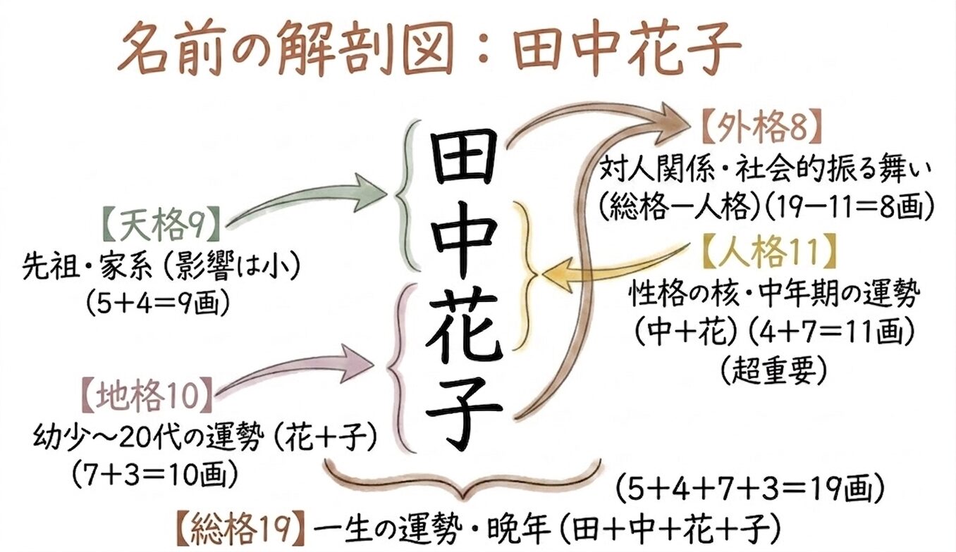 五格と画数の仕組み