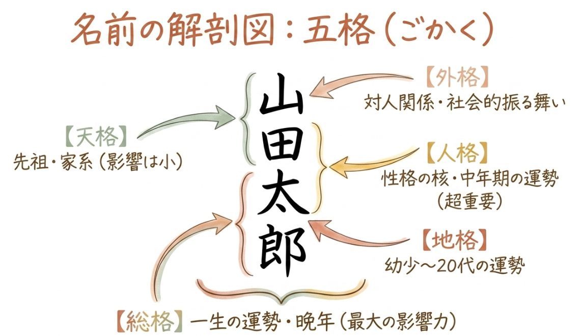五格と画数の仕組み 姓名判断の基礎知識