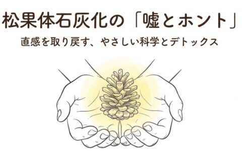 松果体石灰化の「嘘とホント」を徹底解剖｜直感を取り戻すための科学的アプローチとデトックス法