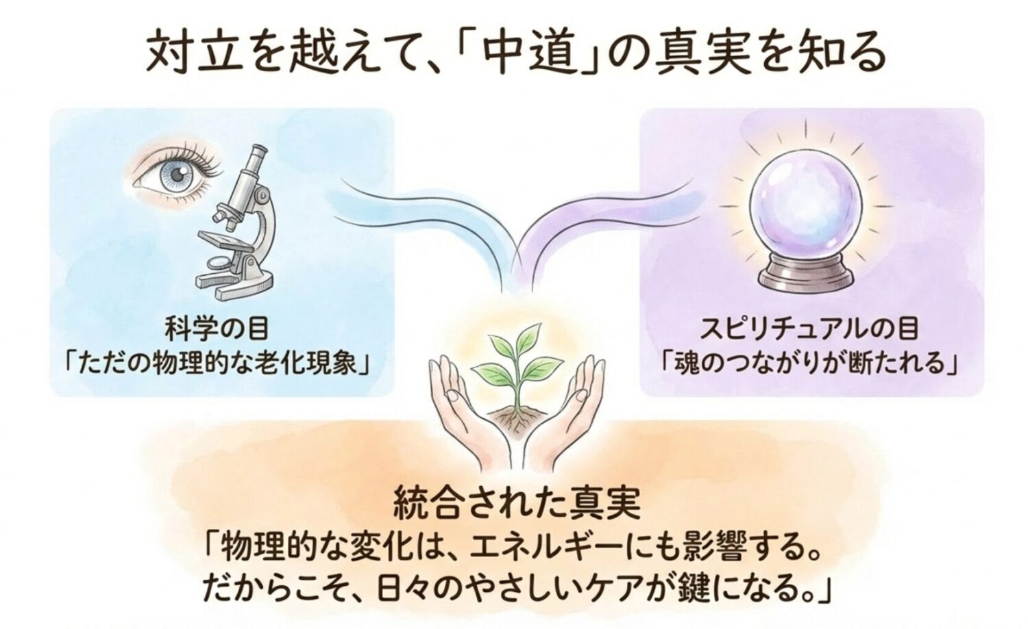 「松果体 石灰化 嘘」と検索される3つの理由