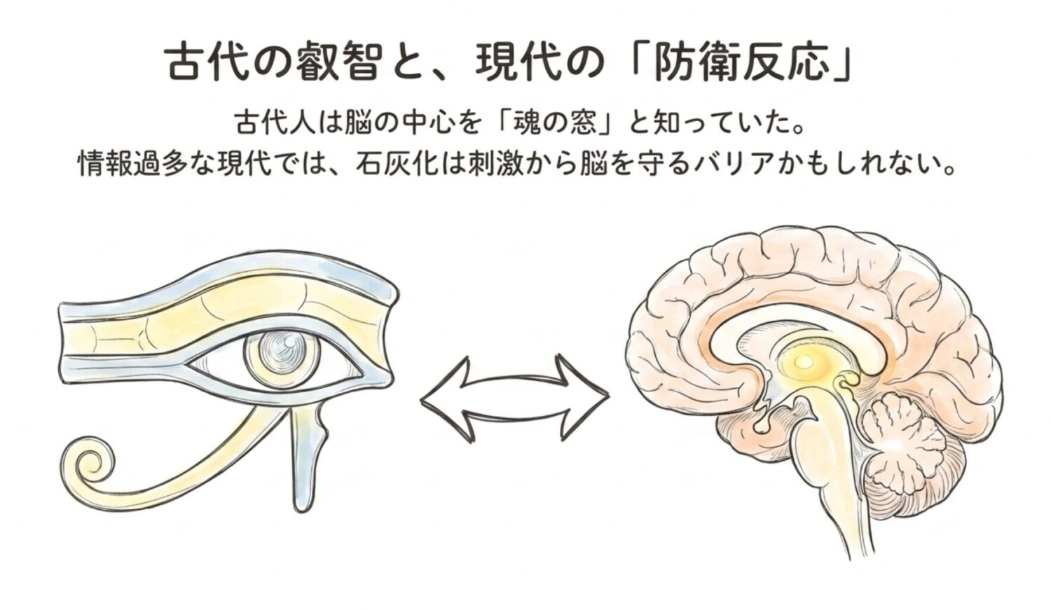 古代の叡智と現代の防衛反応