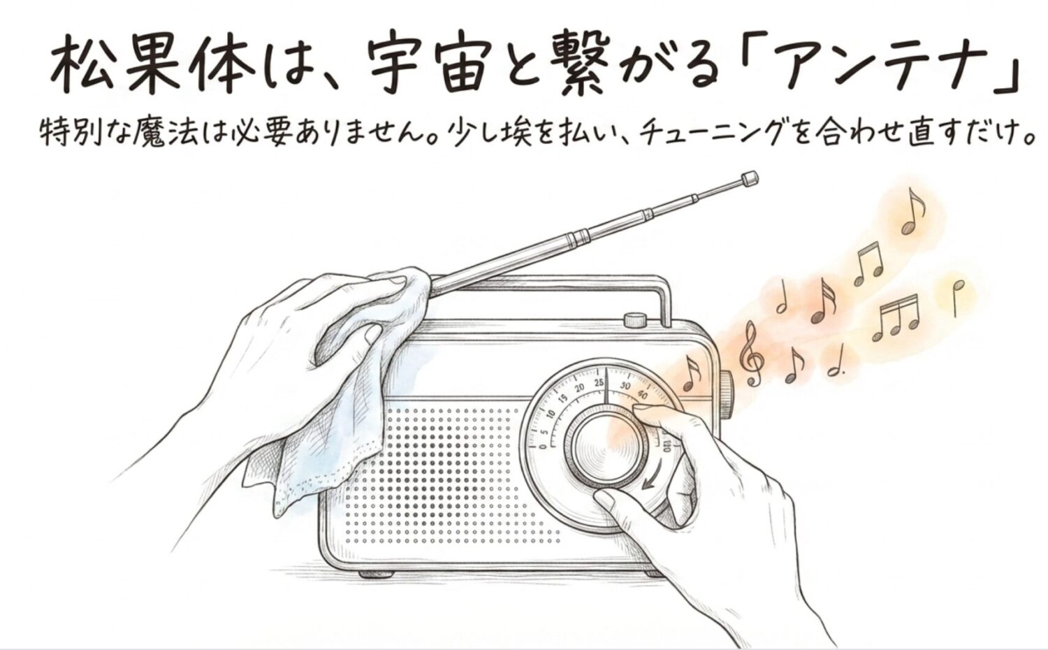 松果体は、非常に繊細な「アンテナ」のようなもの