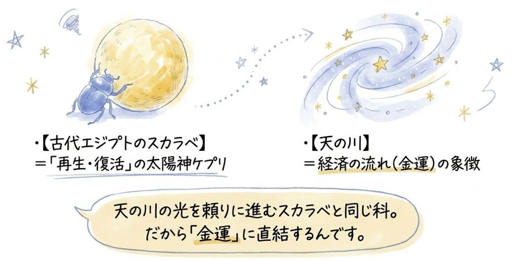 スカラベとカブトムシの知られざるつながり