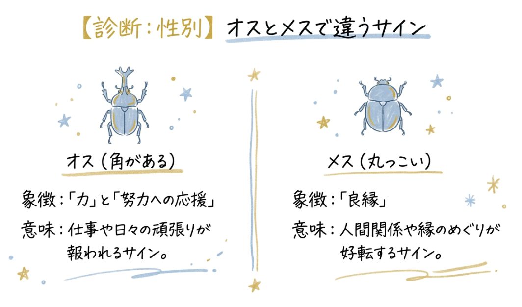オスとメスで違う？金運と開運の意味の違い
