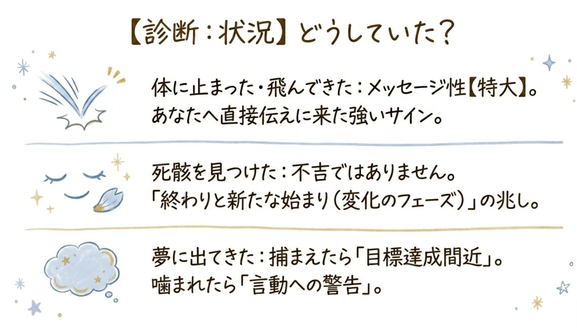 体に止まる・飛んでくる・夢に出てくる時のサインの違い